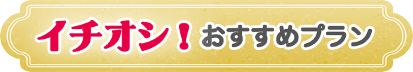 イチオシ!おすすめプラン