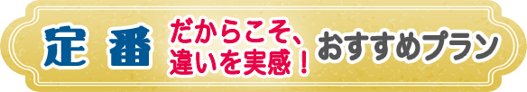 定番だからこそ違いを実感!おすすめプラン