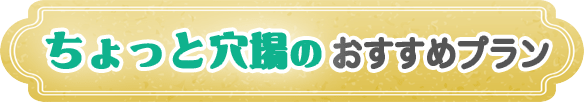 ちょっと穴場のおすすめプラン